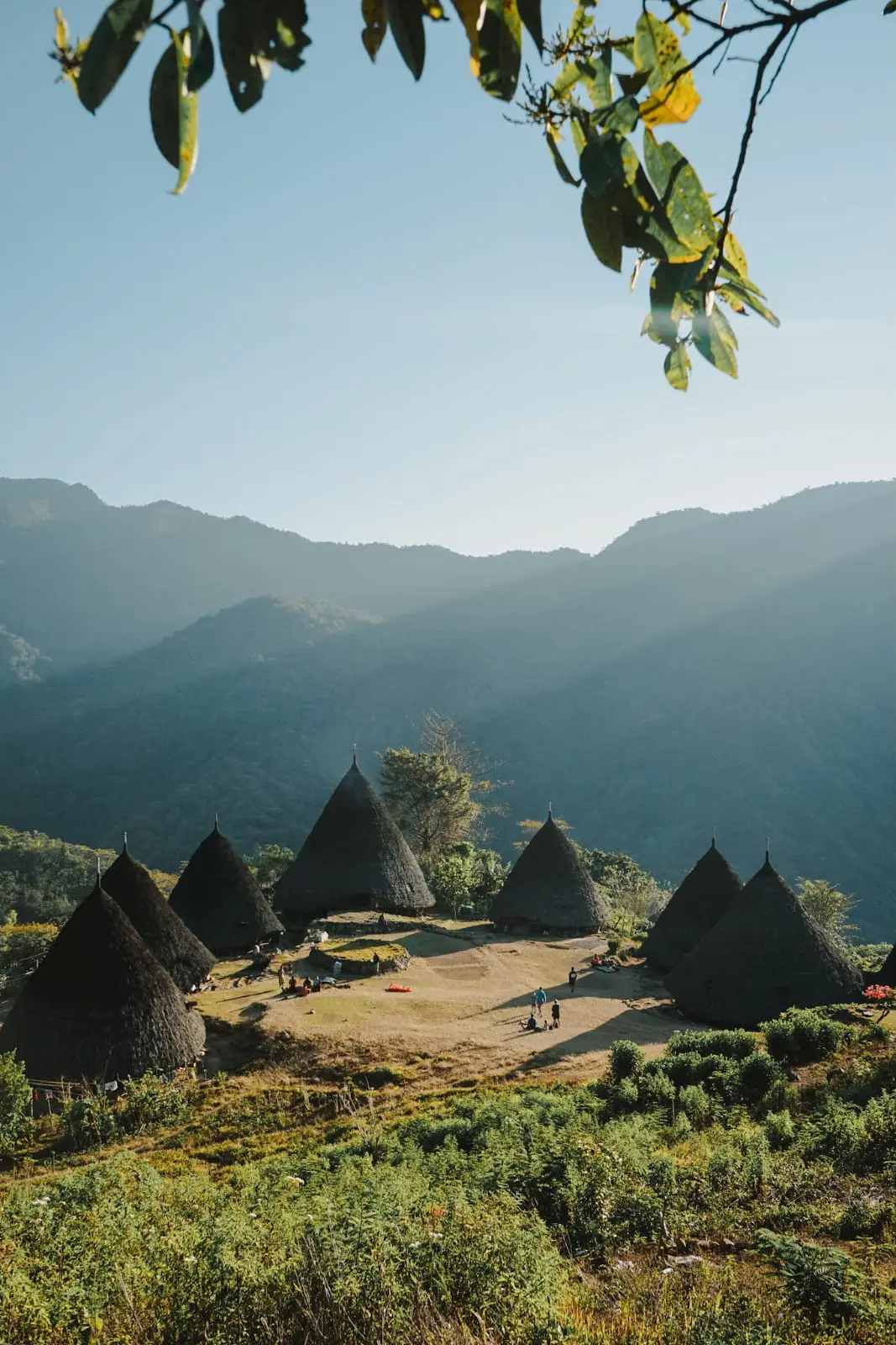 Wae Rebo Traditional Village