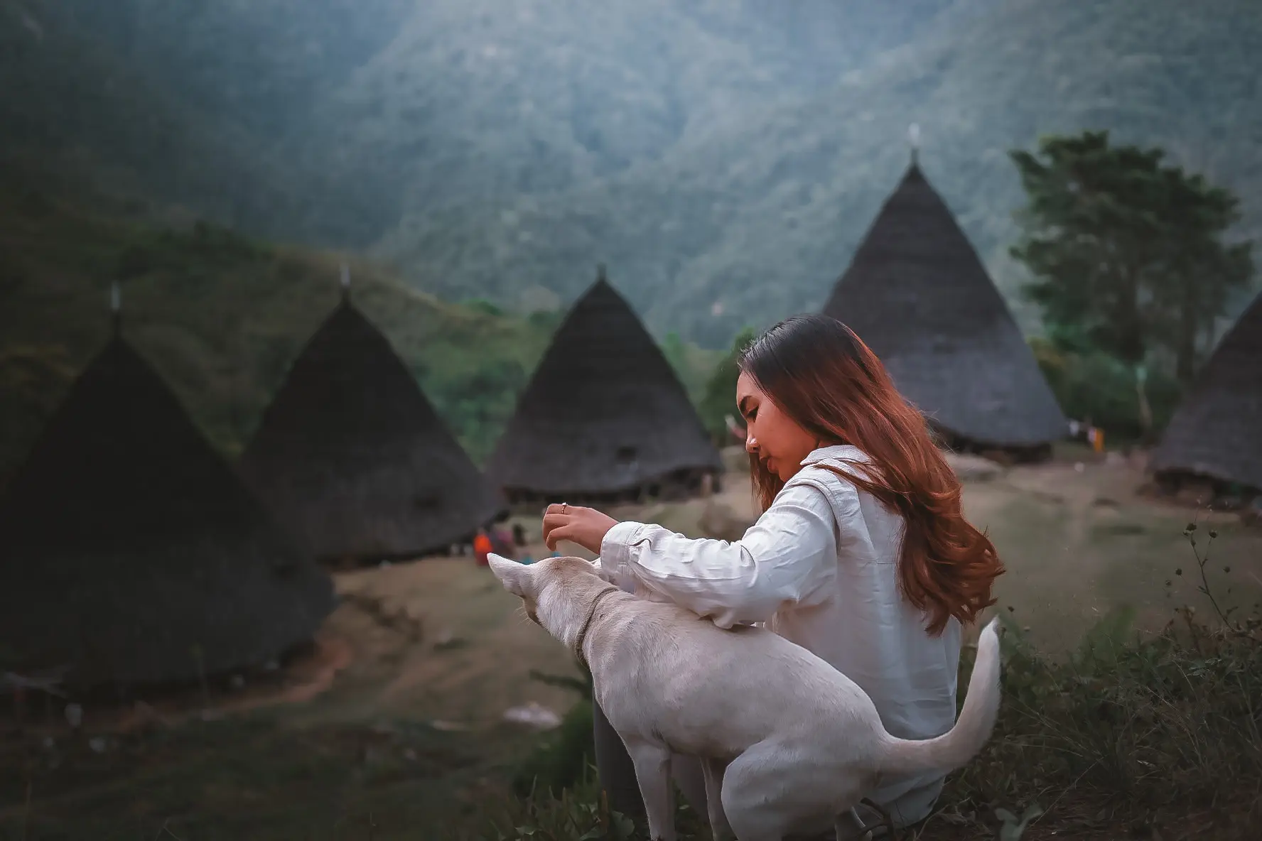 Wae Rebo Traditional Village